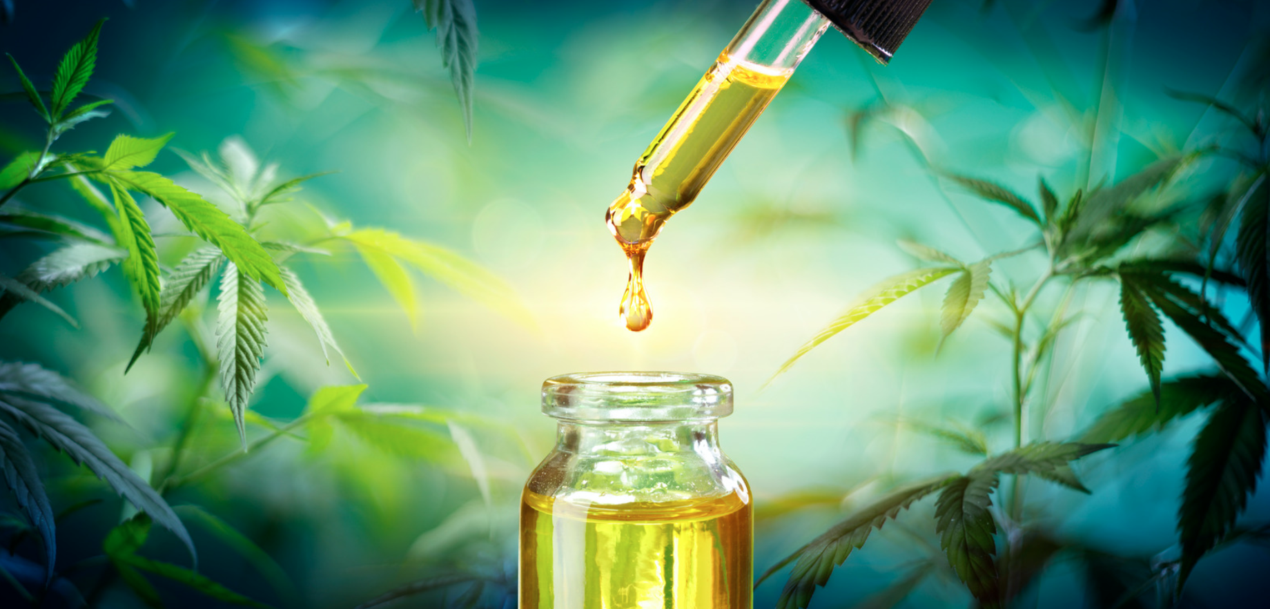 Product image for Herbal Preparation Course: Extractions