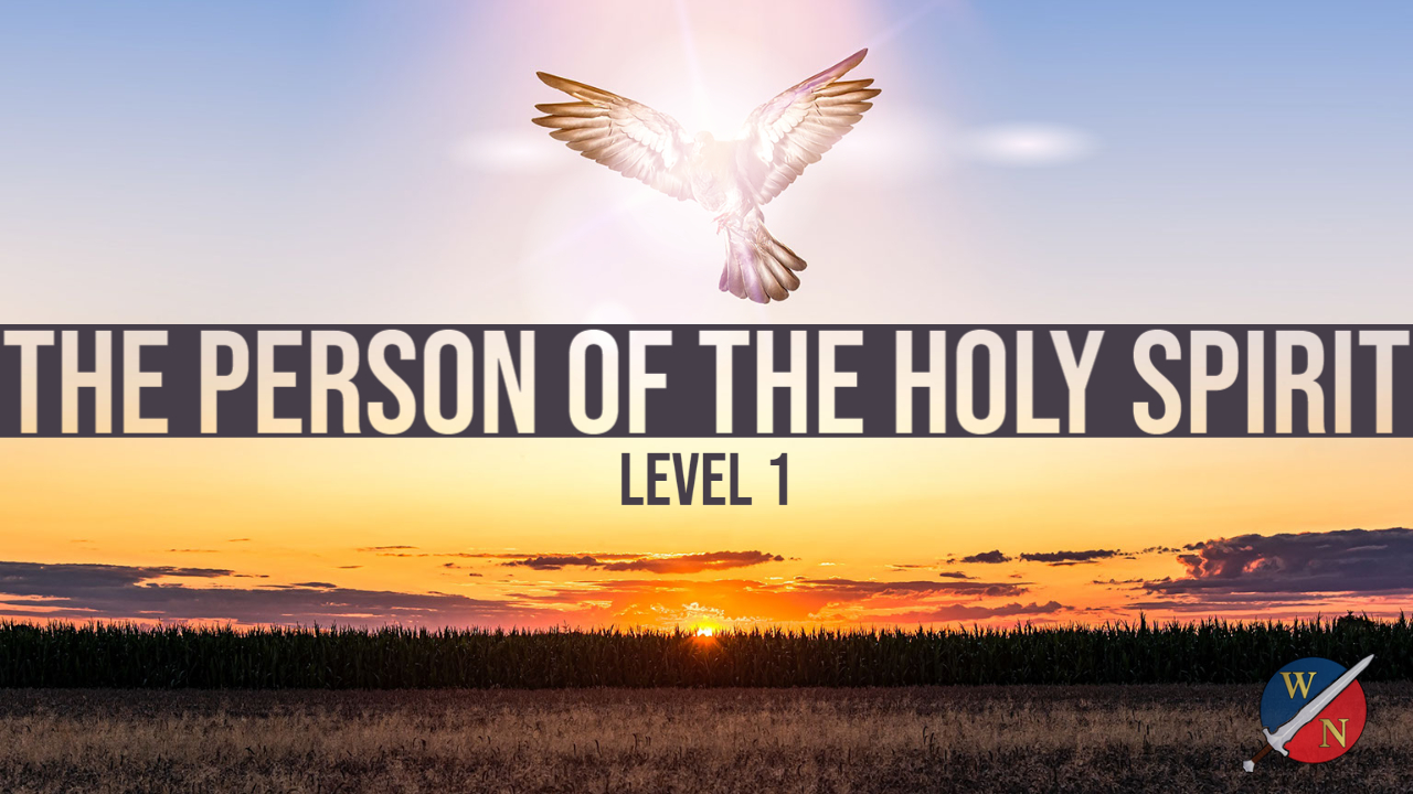 Product image for The Person of the Holy Spirit: 200