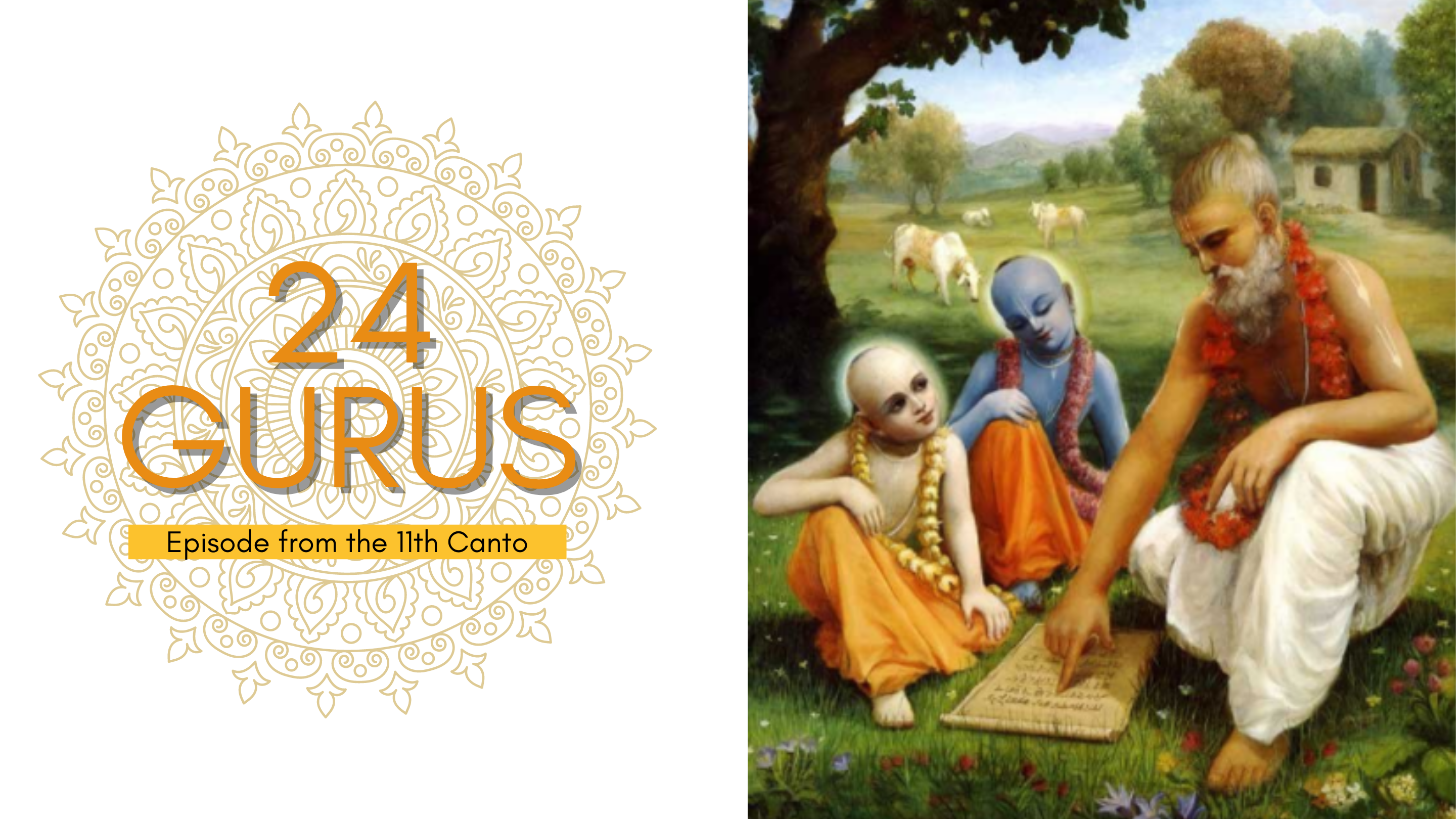 Product image for 24 Gurus