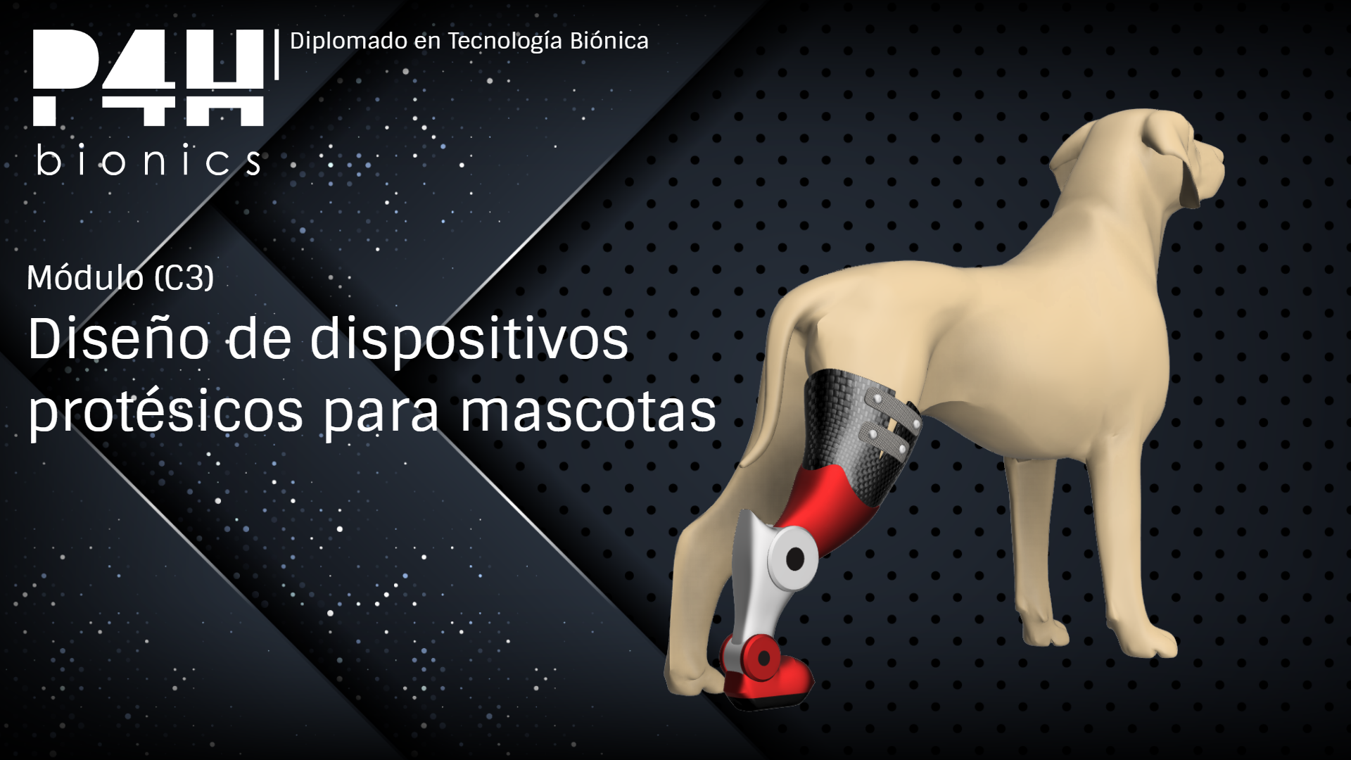 Imagen de producto para (Fase 12.2) Diseño de dispositivos protésicos para mascotas