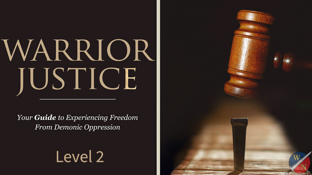 Product image for Warrior Justice Level 2: 200