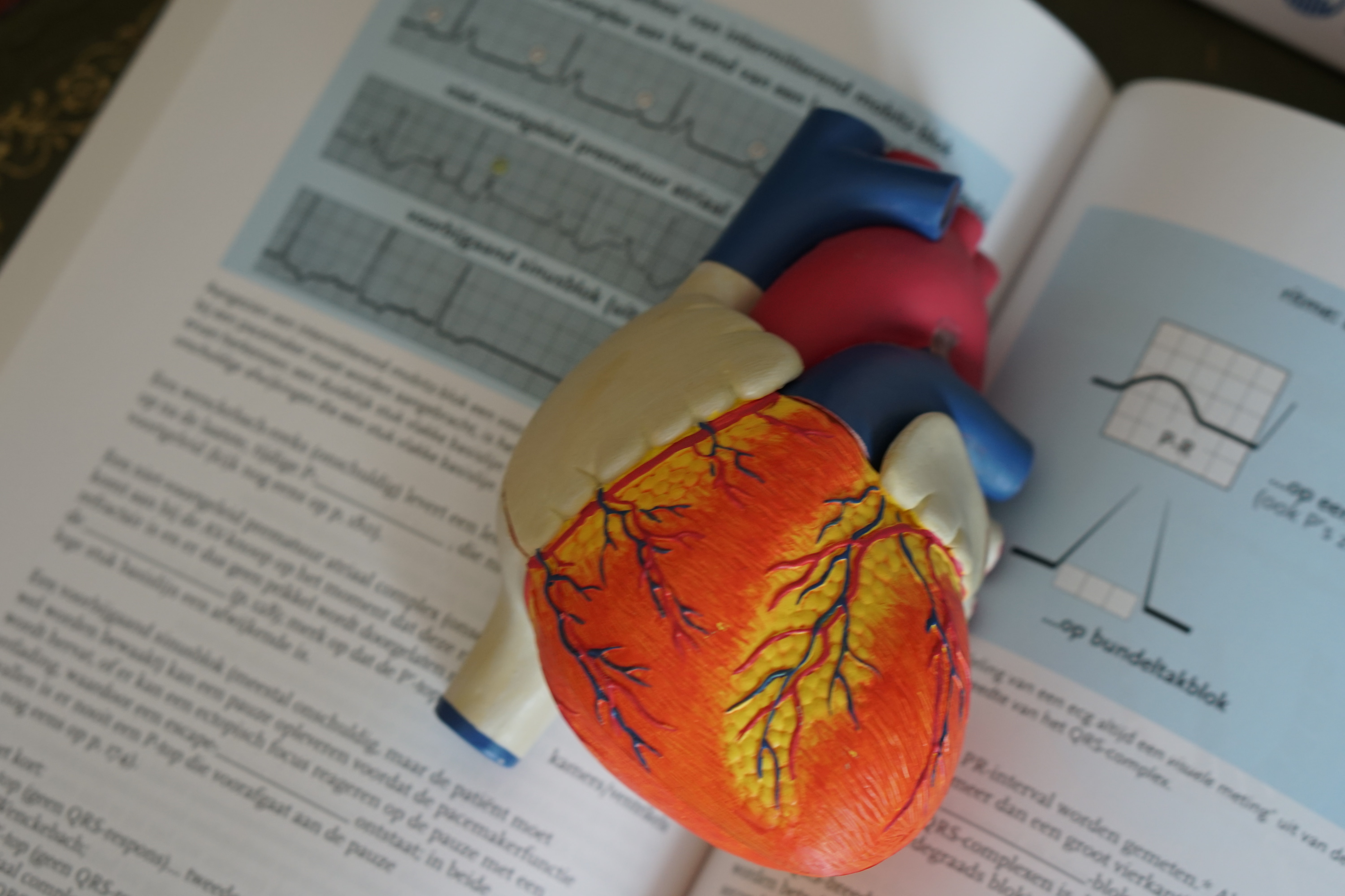 Product image for Introduction to ECG & Holter Monitor  (6 hour course)