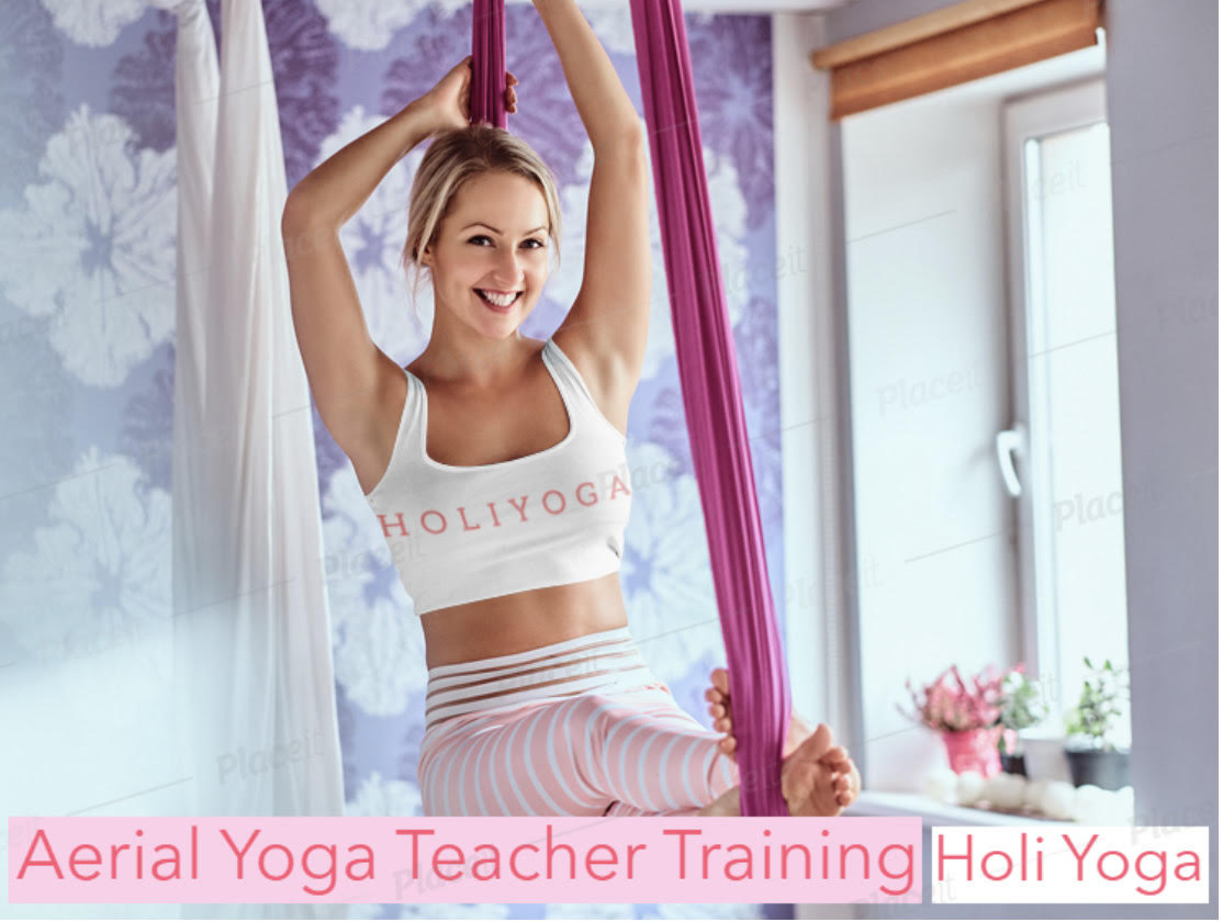 Product image for Aerial Yoga Certification Course Level 1