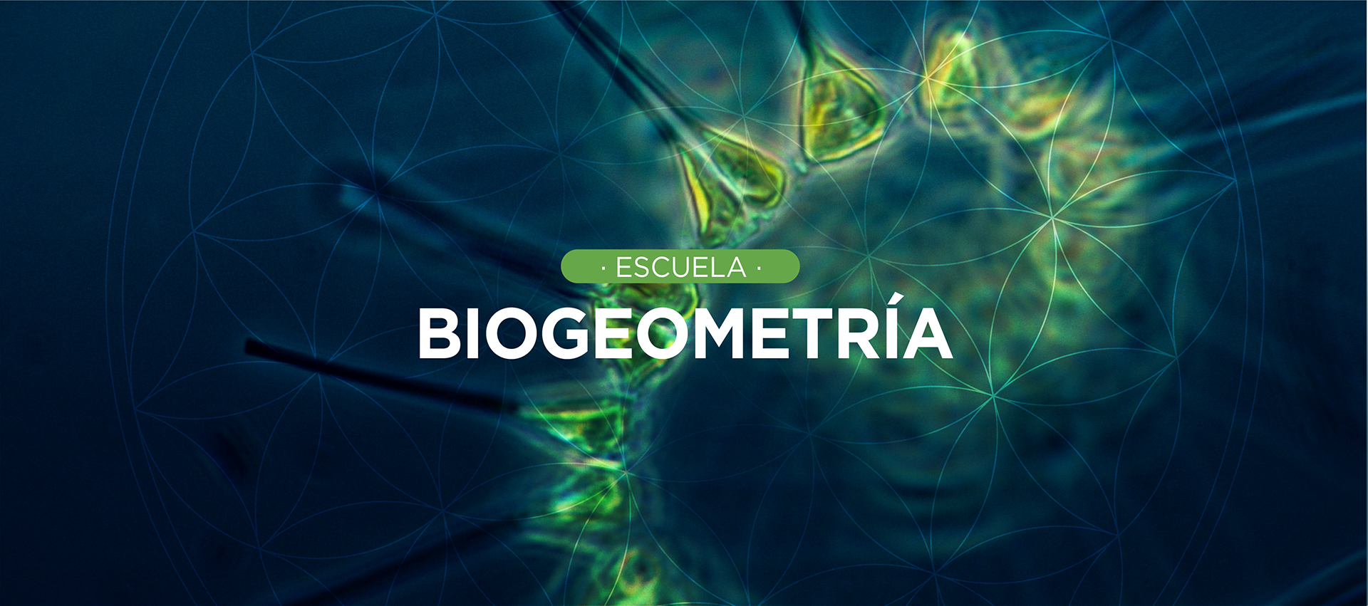 Escuela Biogeometría - Juan Pablo Uribe
