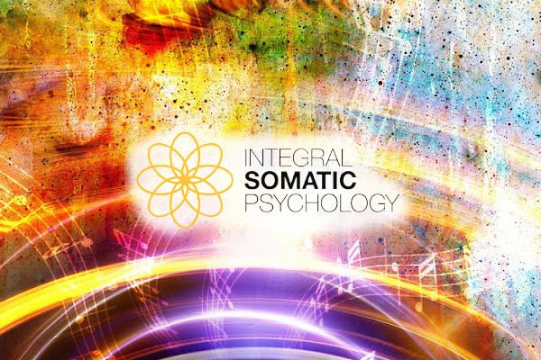 Product image for The Practice of Embodying Emotions