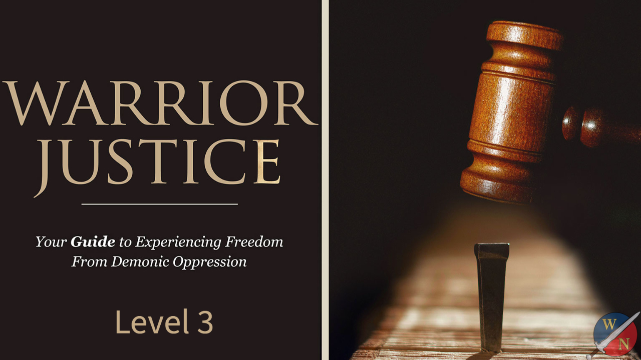 Product image for Warrior Justice Level 3: 200